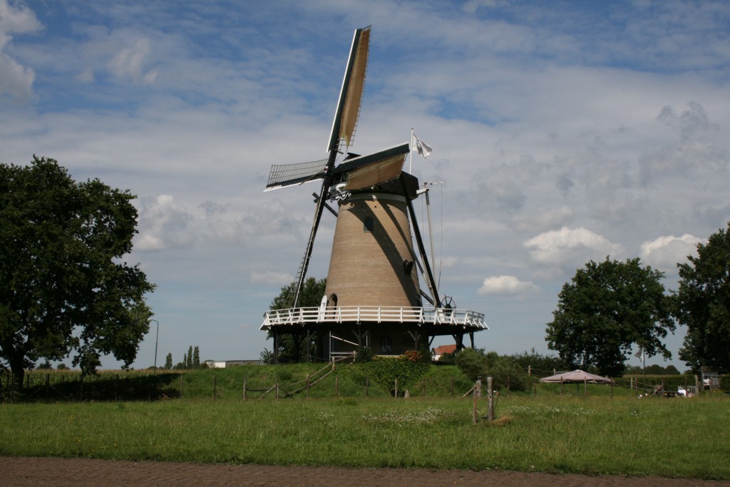 Molen