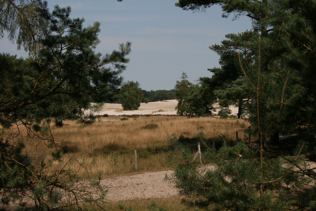 Soesterduinen 1