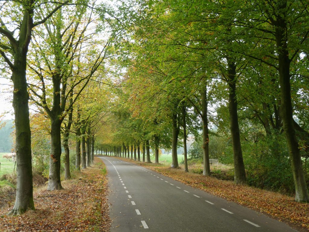 jachthuislaan 1