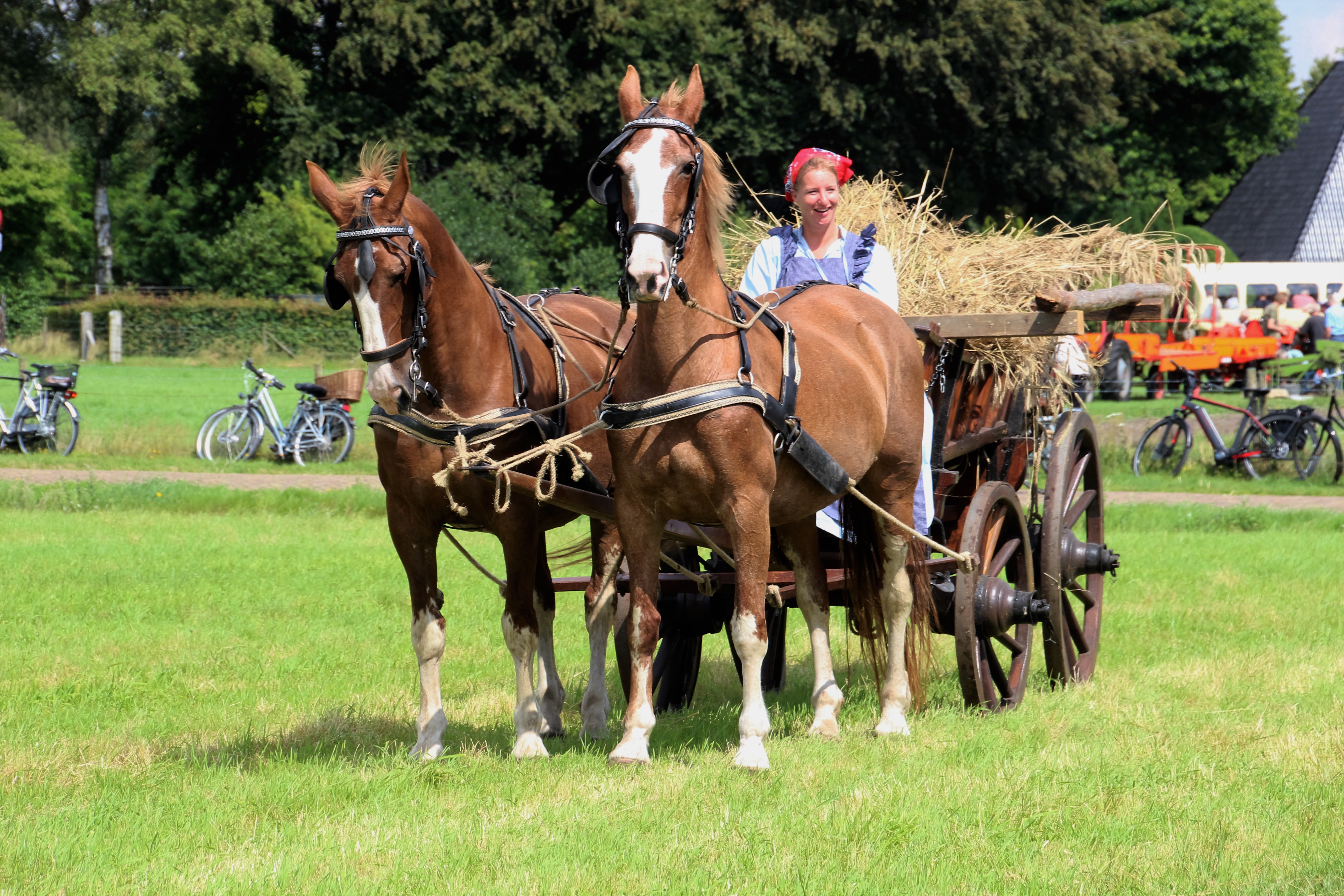boerenwagen