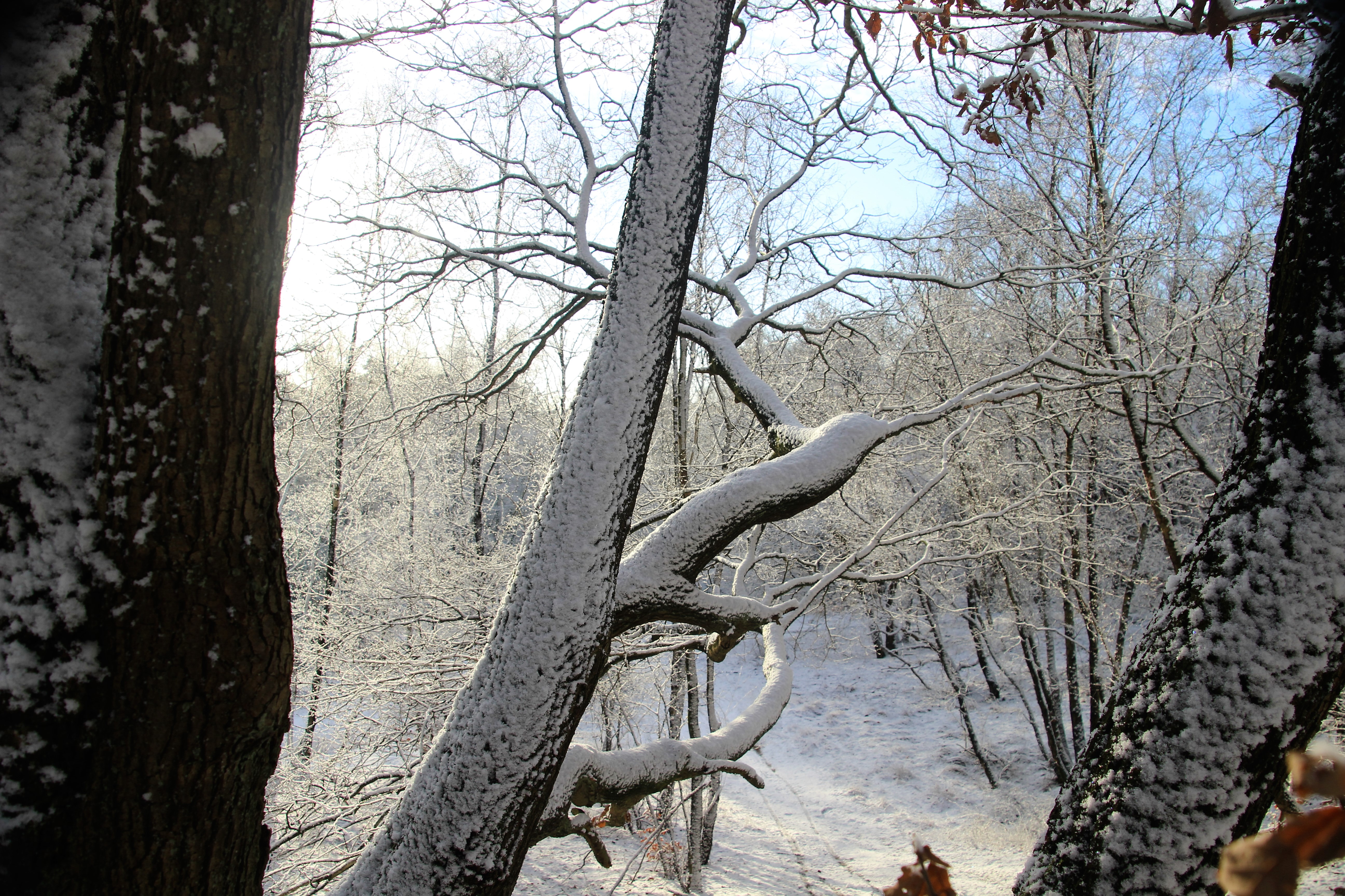 Sneeuw op De Stompert