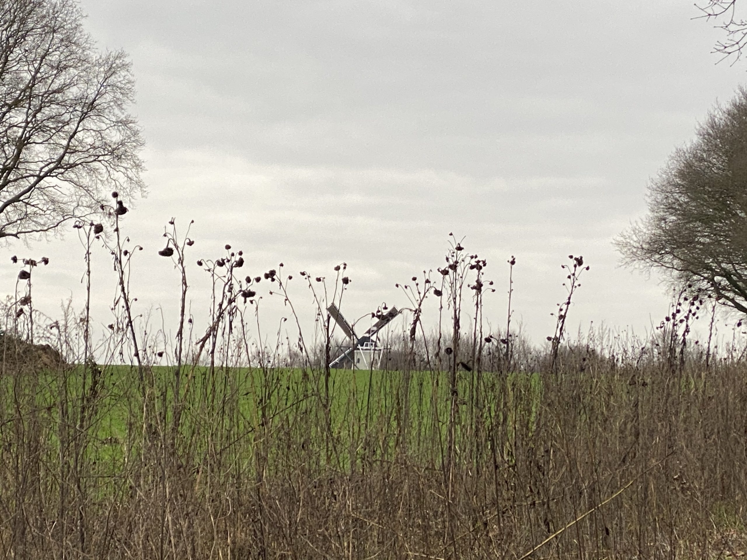 De molen in Soest