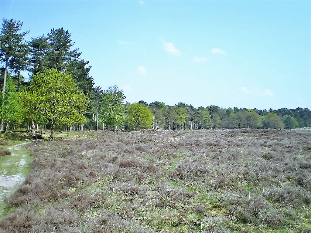 uitkijk hei