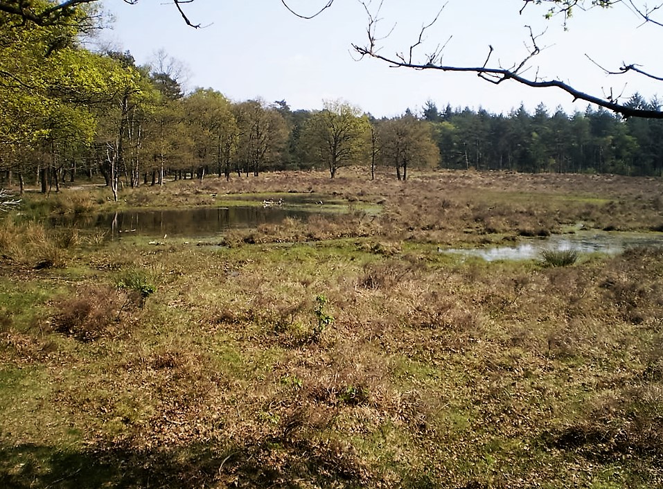 vennetje